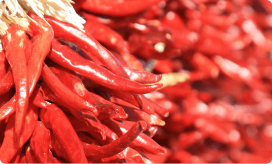 Spices Manufacturer in Delhi